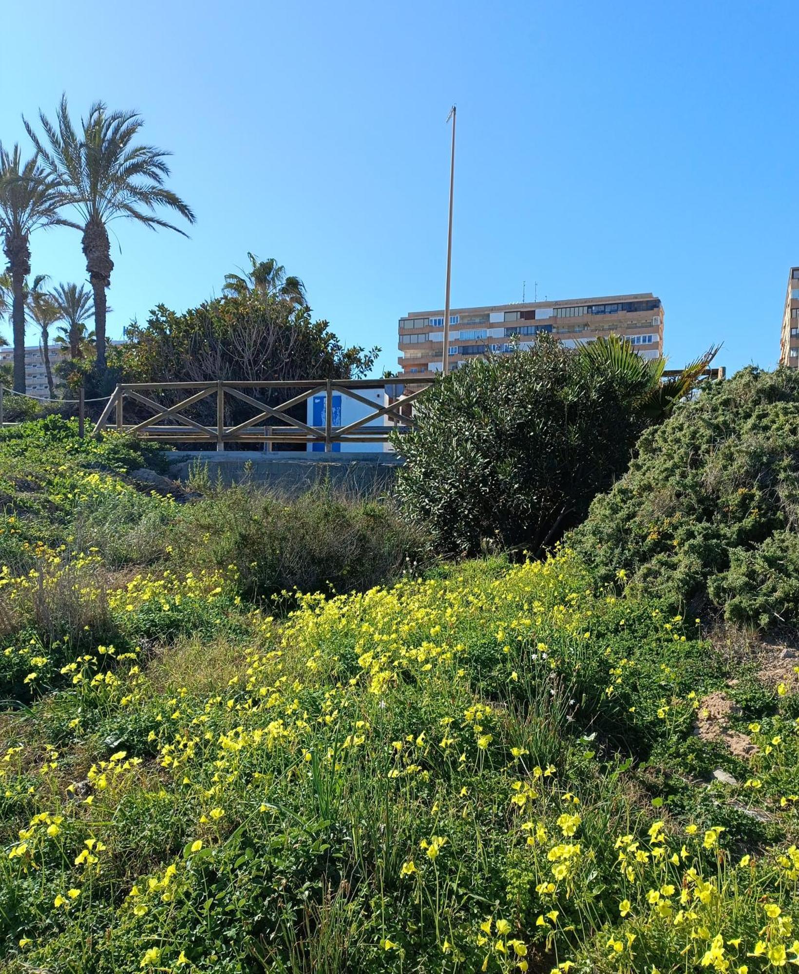 Apartamento MIRAMAR Torrevieja Esterno foto