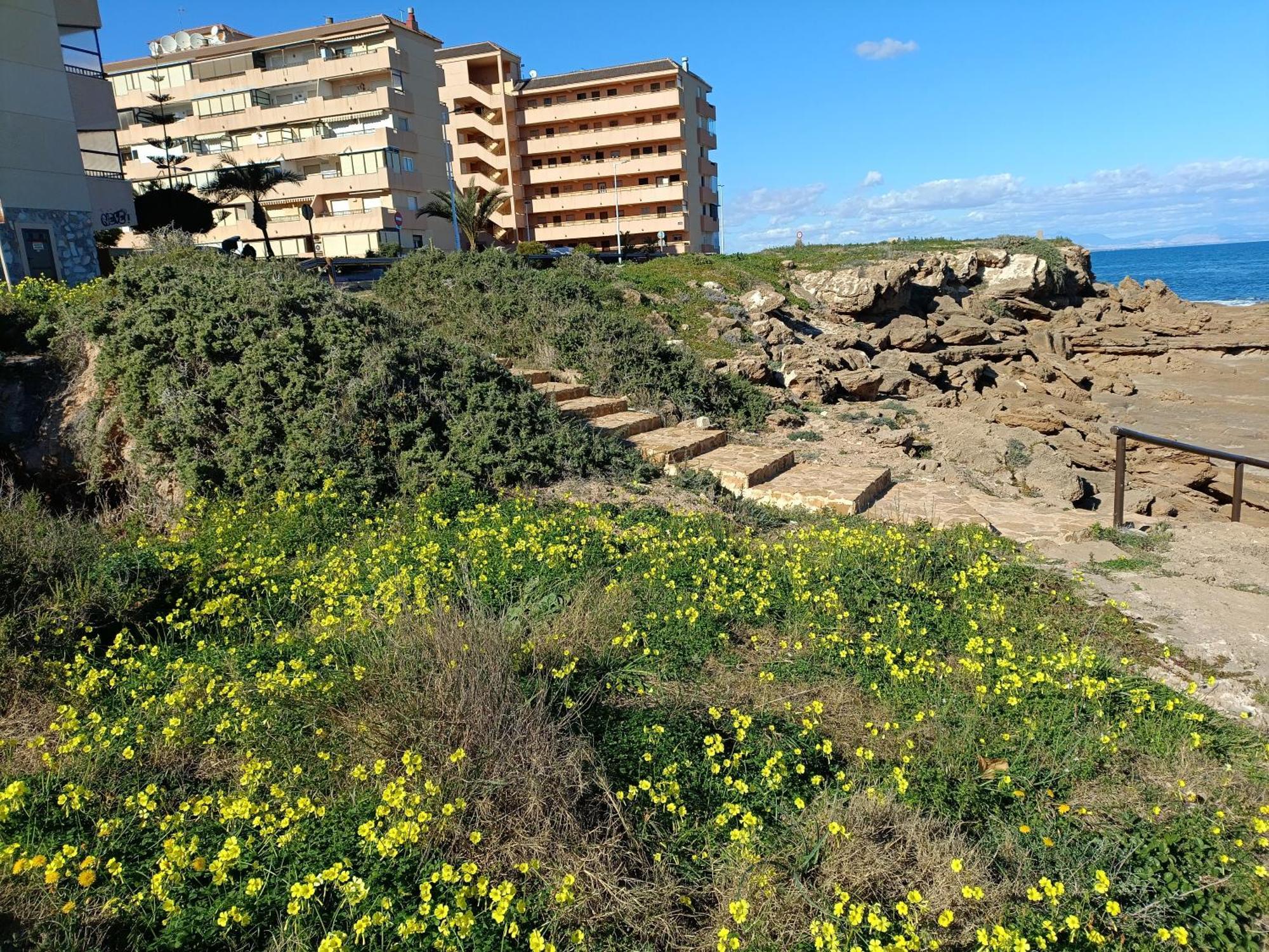 Apartamento MIRAMAR Torrevieja Esterno foto